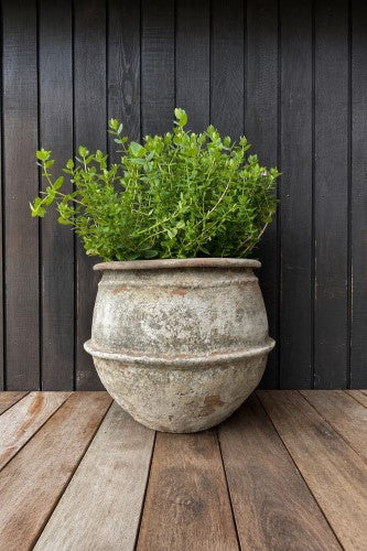 Advika Water Pot Planter