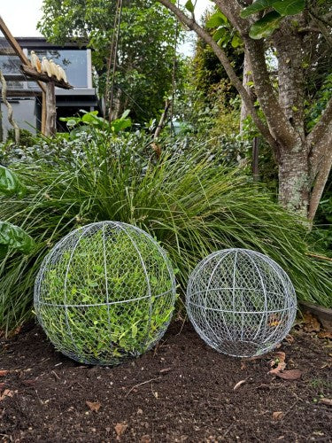 Topiary Plant Training Frame Ball Small 30 x 30 x 30cm