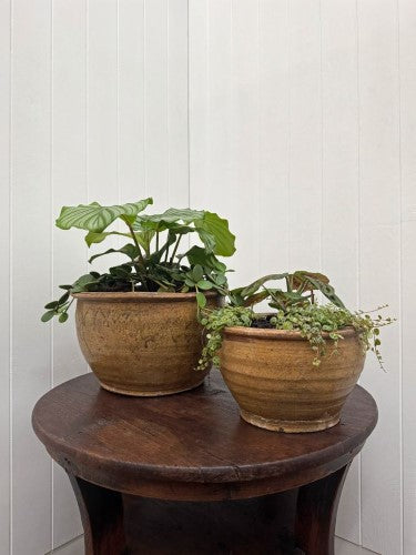 Ceramic Claude Decorative Bowl Small Ochre 27 x 15cm