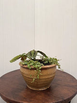 Ceramic Claude Decorative Bowl Small Ochre 27 x 15cm