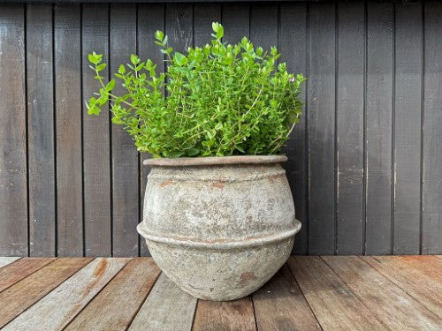 Advika Water Pot Planter