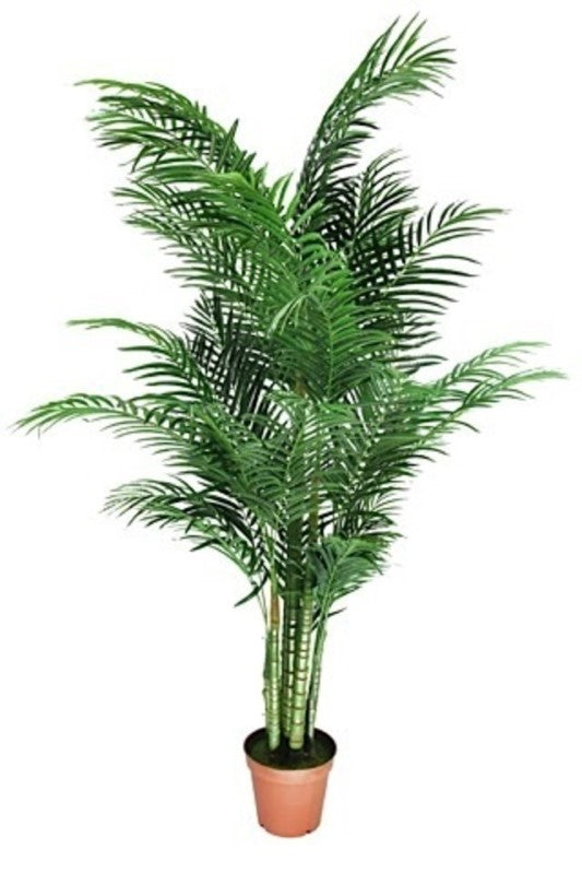 Tall 190cm Artificial Areca Palm with realistic fronds, perfect for creating a tropical atmosphere in any indoor space.