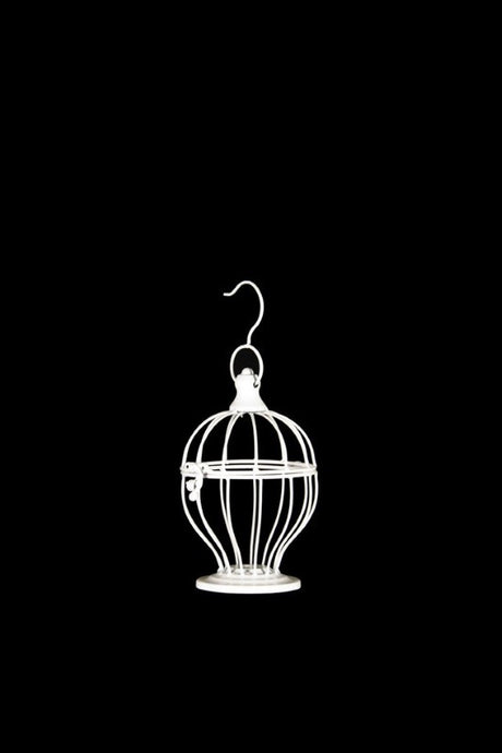 Decorative Mini Curve Bird Cage, 12D x 15cmH, perfect for floral arrangements and fairy lights, with hinged roof and metal hook.