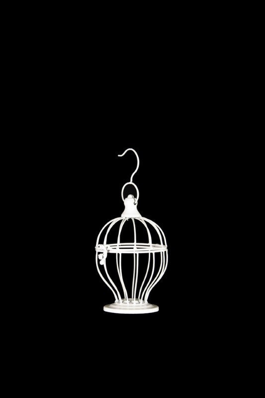 Decorative Mini Curve Bird Cage, 12D x 15cmH, perfect for floral arrangements and fairy lights, with hinged roof and metal hook.