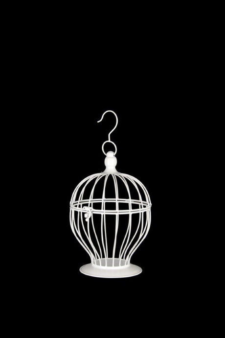 Elegant decorative curve bird cage with hinged dome roof, perfect for home decor or event centerpiece.