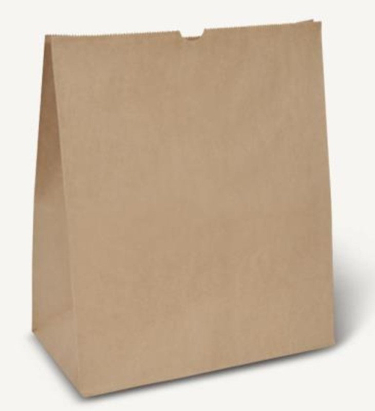 Eco-friendly Detpak paper bags with block bottom design, perfect for easy loading at checkout; pack of 250.