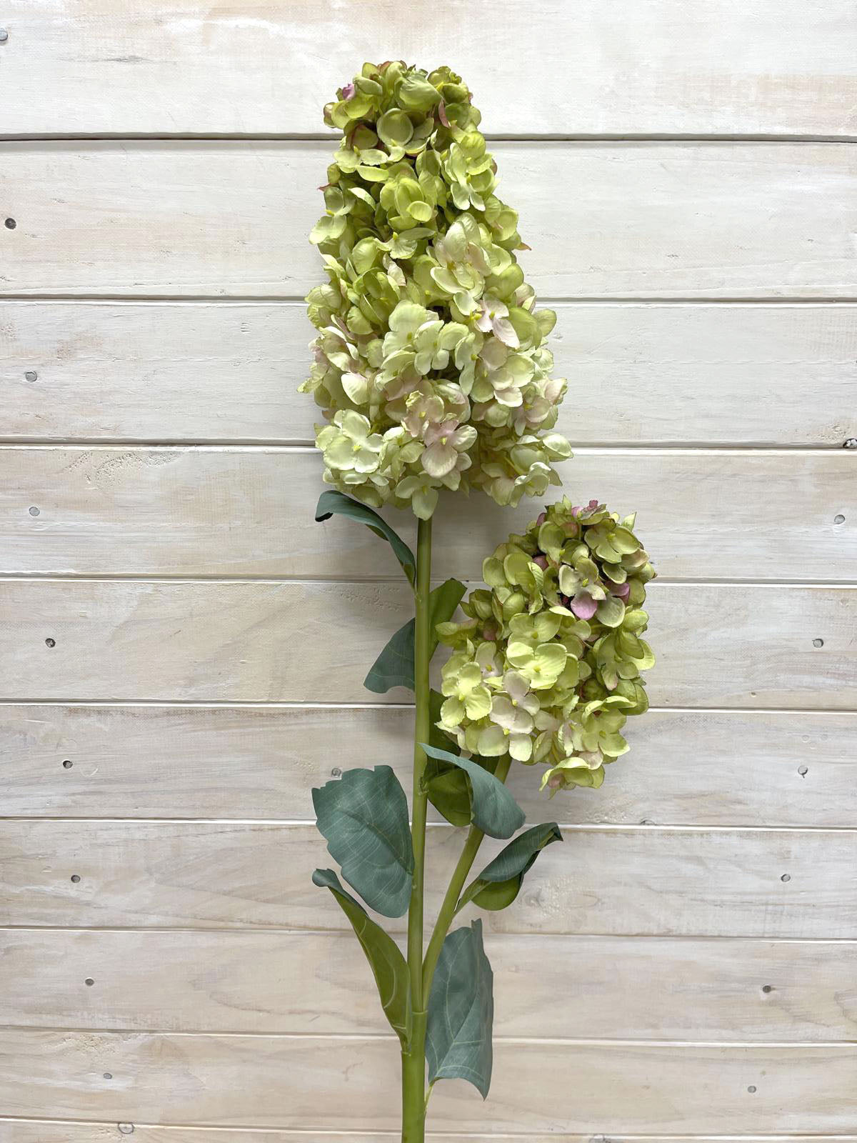 Artificial Flower -Dried Look – Hydrangea Paniculate Spray X 2 GREEN