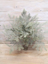 Lifelike Artificial Cedar Fern Bush with delicate leaves, perfect for enhancing indoor or outdoor decor without upkeep.