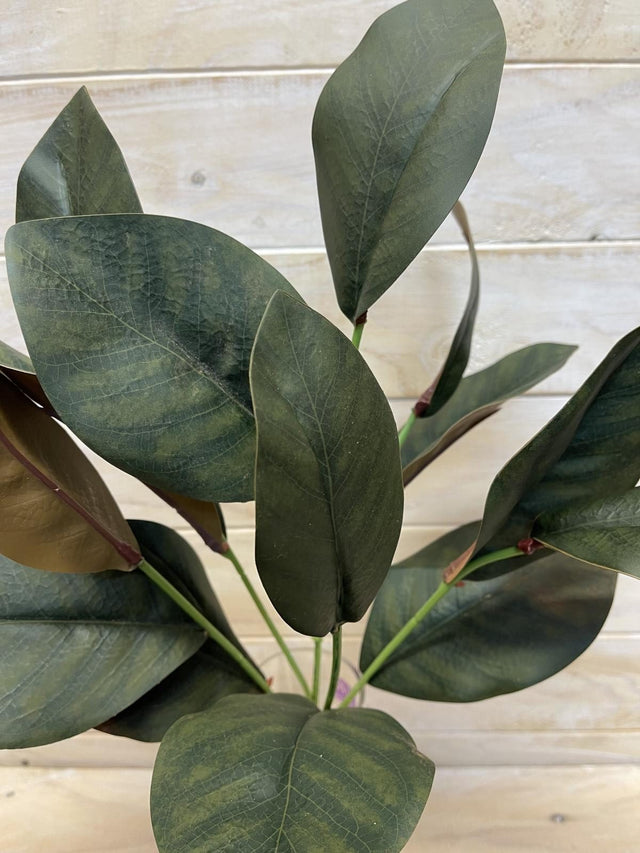 Lifelike artificial magnolia leaf bush with lush green foliage, perfect for elegant home decor and low maintenance styling.