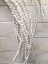 Artificial Amaranthus – Amaranthus Spray White
