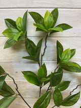 Artificial Leaf – Daphne Leaf Spray