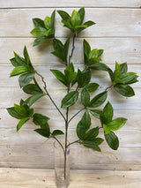 Artificial Leaf – Daphne Leaf Spray