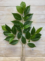 Artificial Leaf – Apple Leaf Spray