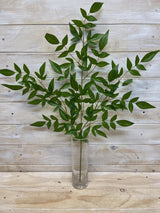 Vibrant artificial Nandina leaf sprays in a pack of three for elegant, low-maintenance home decor.