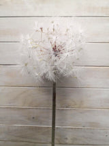 Artificial white dandelion flower, 15cm tall, perfect for elegant home decor and everlasting floral arrangements.