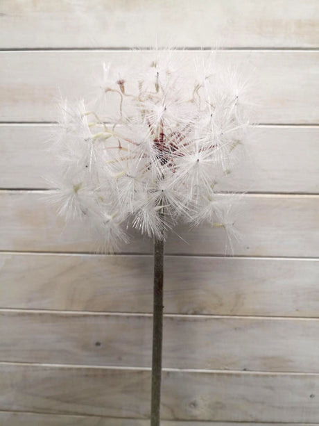 Artificial white dandelion flower, 15cm tall, perfect for elegant home decor and everlasting floral arrangements.