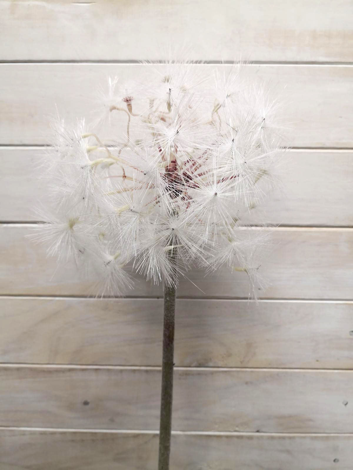 15cm large white artificial dandelion flower, showcasing delicate features for elegant, low-maintenance home decor.