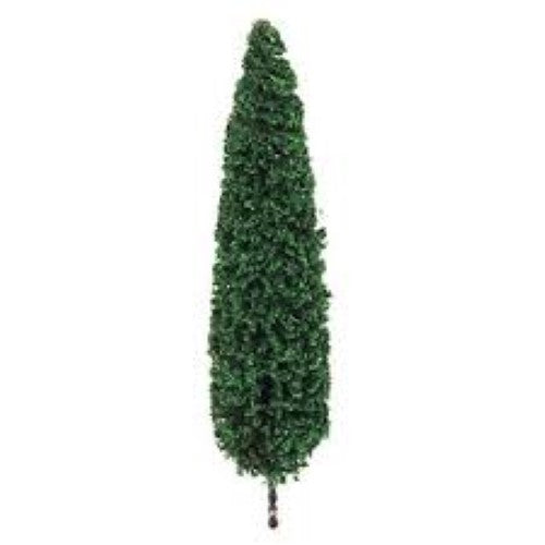Realistic 75-100mm poplar trees for model railways and dioramas, enhancing scenes with detailed leaves and bark textures.