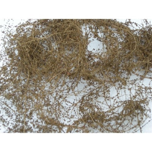 Hobby Model Scenery - Dry Vine Dead Foliage