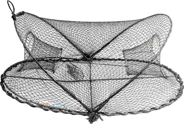 Anglers Mate Opera House Bait Trap, a foldable dome trap for capturing larger bait fish efficiently, dimensions 760x480x480 mm.