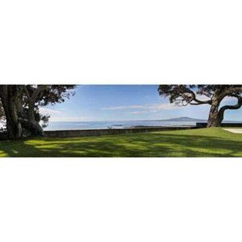 Prestige 40mm Landscaping Artificial Grass 3.7m Wide - Urban Turf