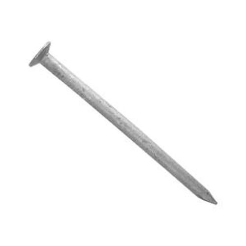 Nail Galvanised Fibre Cement Smooth 50 x - Ecko 2.80mm 500g