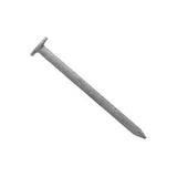 Nail Galvanised Clout Smooth 30 x - Ecko 2.50mm 500g