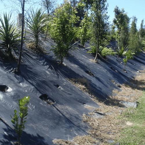 Weedmat 1.83 x 50m Black - Agpac