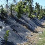Weedmat 1.83 x 50m Black - Agpac