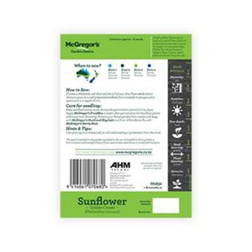 Golden Crown Sunflower Flower Seed