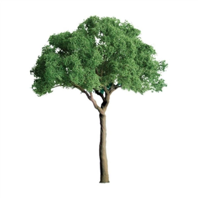 Two 75mm Green Jacaranda trees, ideal for enhancing miniature landscapes and model displays with vivid realism.