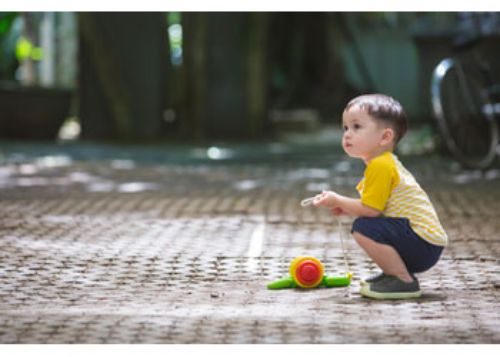 PlanToys - Pull-Along Snail