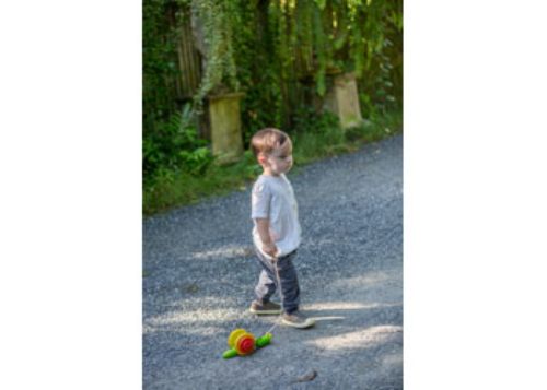 PlanToys - Pull-Along Snail
