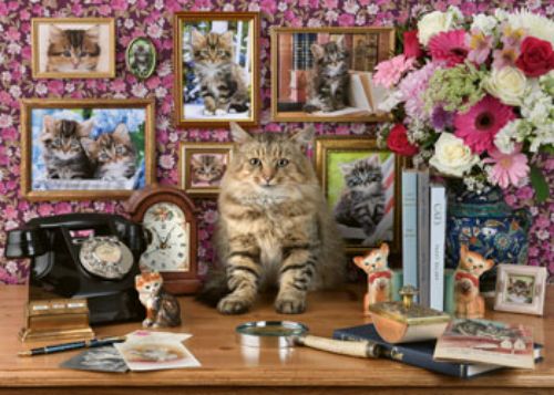 Vibrant 1000-piece puzzle of charming kittens, perfect for families and cat lovers, finished size 70 x 50 cm.