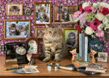 Vibrant 1000-piece puzzle of charming kittens, perfect for families and cat lovers, finished size 70 x 50 cm.