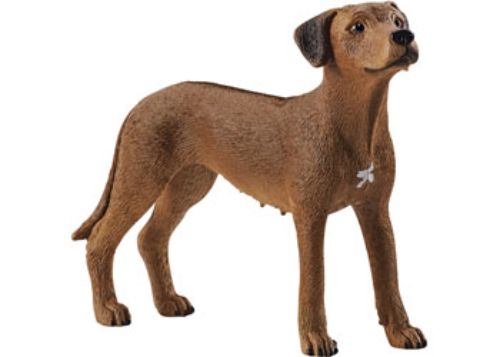 Schleich - Rhodesian Ridgeback