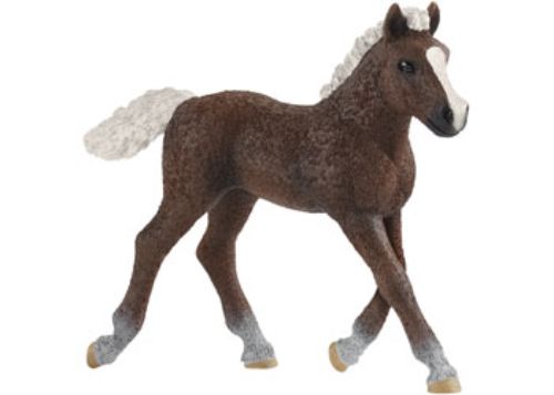 Schleich Black Forest Foal figurine with dark chestnut coat and blaze, ideal for imaginative play and education on rare horse breeds.