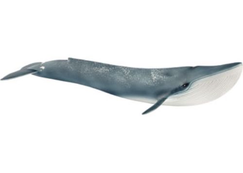 Schleich - Blue whale