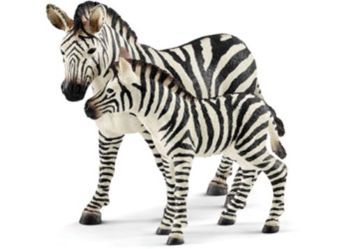 Schleich - Zebra foal