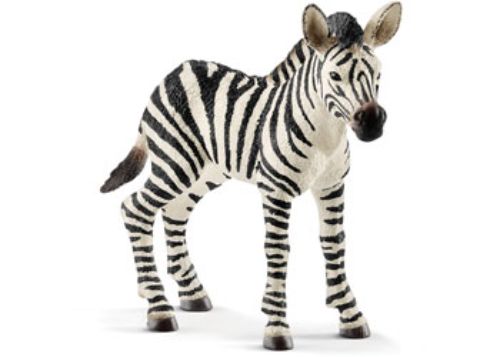 Schleich - Zebra foal