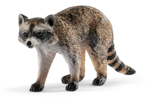 Schleich - Raccoon