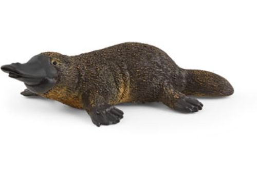 Schleich - Platypus