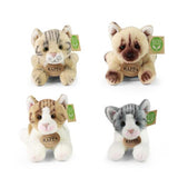 Rappa: Cats (18cm) [4 Types]
