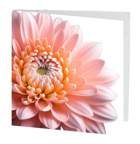 Gift Card Light Pink Gerbera Pack of 10 with Envelopes 12cmx12cm