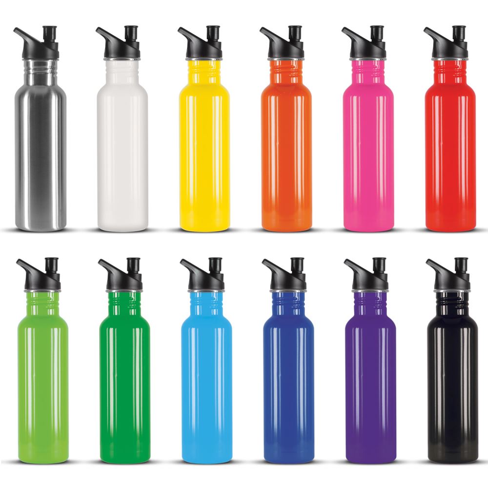 Stainless Steel drink bottle / sipper
