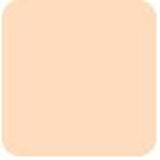 Bobbi Brown Skin Foundation Stick - # N-012 Porcelain  9g/0.31oz