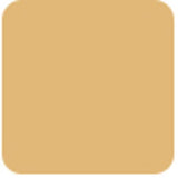 Bobbi Brown Skin Foundation Stick - # W-064 Honey  9g/0.31oz
