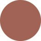 Shiseido Technosatin Gel Lipstick - # 405 Playback  3.3g/0.11oz