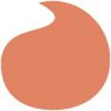 Lancome Idole Tint Liquid Eyeblusher - # 04 Sienna  7ml