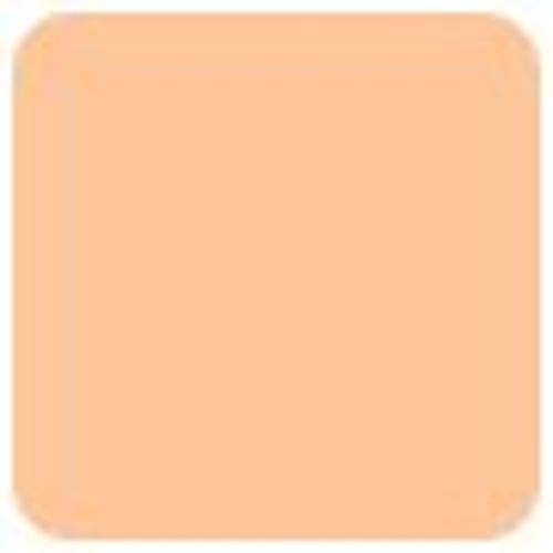 Estee Lauder Double Wear Powder Foundation SPF10 - # 4C1  11g